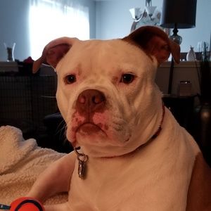 Meet your Posher, Traci